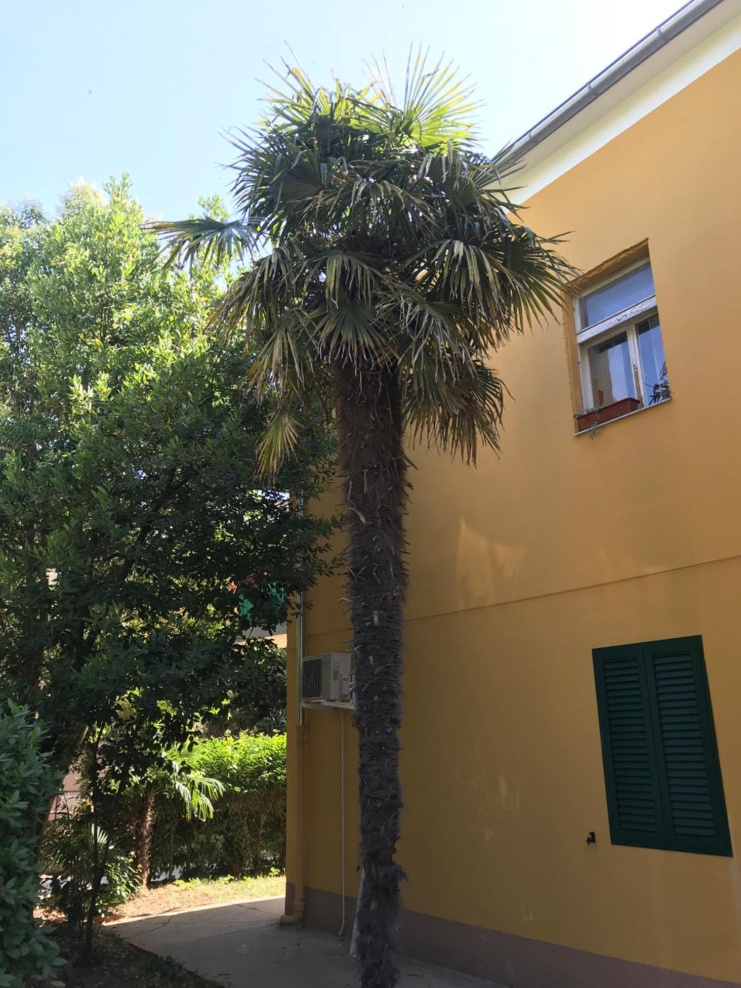 Apartment Zara Sun Exterior photo